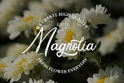 Lugston – Vintage Script Font, a Script Font by Arendxstudio (Thumbnail 6 of 8)