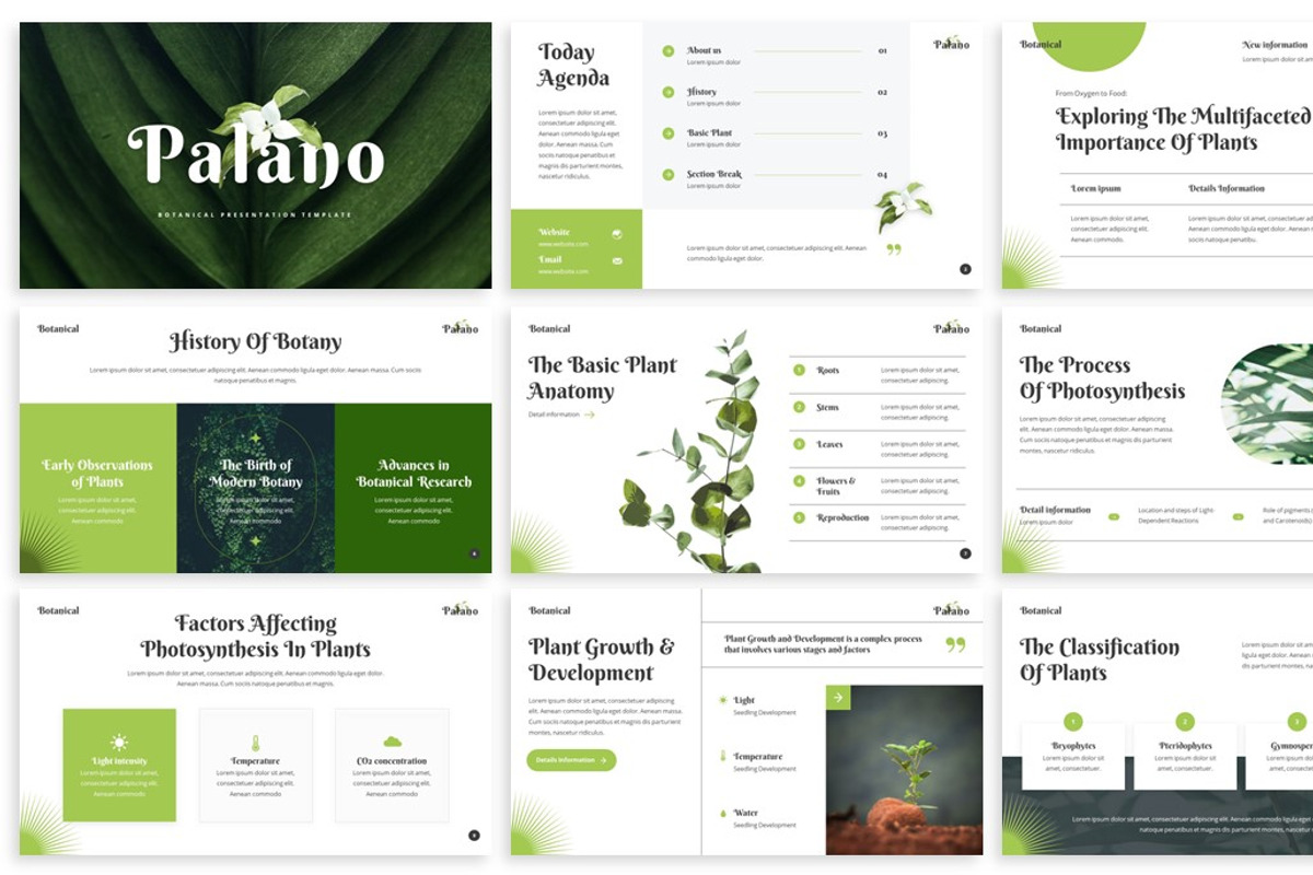 Palano - Botanical Keynote Template, a Presentation Template by SlideFactory (Photo 2 of 4)