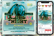 Saturday Night Party Flyer, a Flyer Template by regalDRAW (Thumbnail 1 of 3)