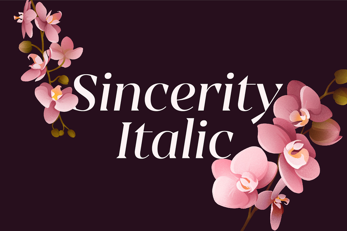 Sincerity Italic, a Serif Font by OceaneM (Photo 1 of 6)