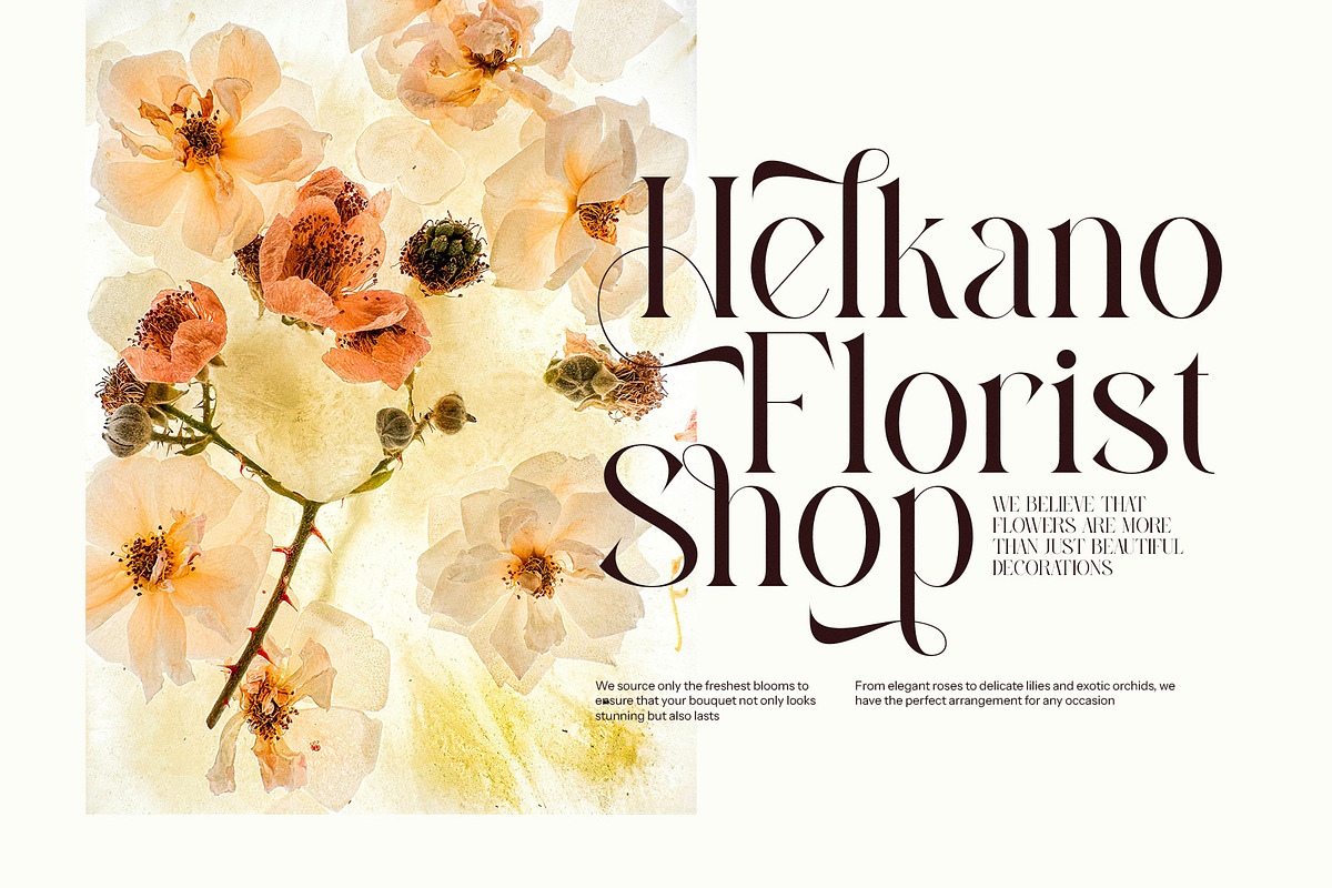 Alissan - Modern Serif Font, a Serif Font by Graphicxell (Photo 3 of 8)