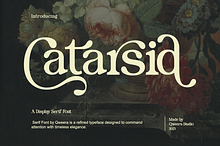 Catarsid - Retro Modern Serif