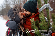 Christmas Tree - 20 Winter Presets, an Action Add-On by Presetrain Co. (Thumbnail 9 of 10)
