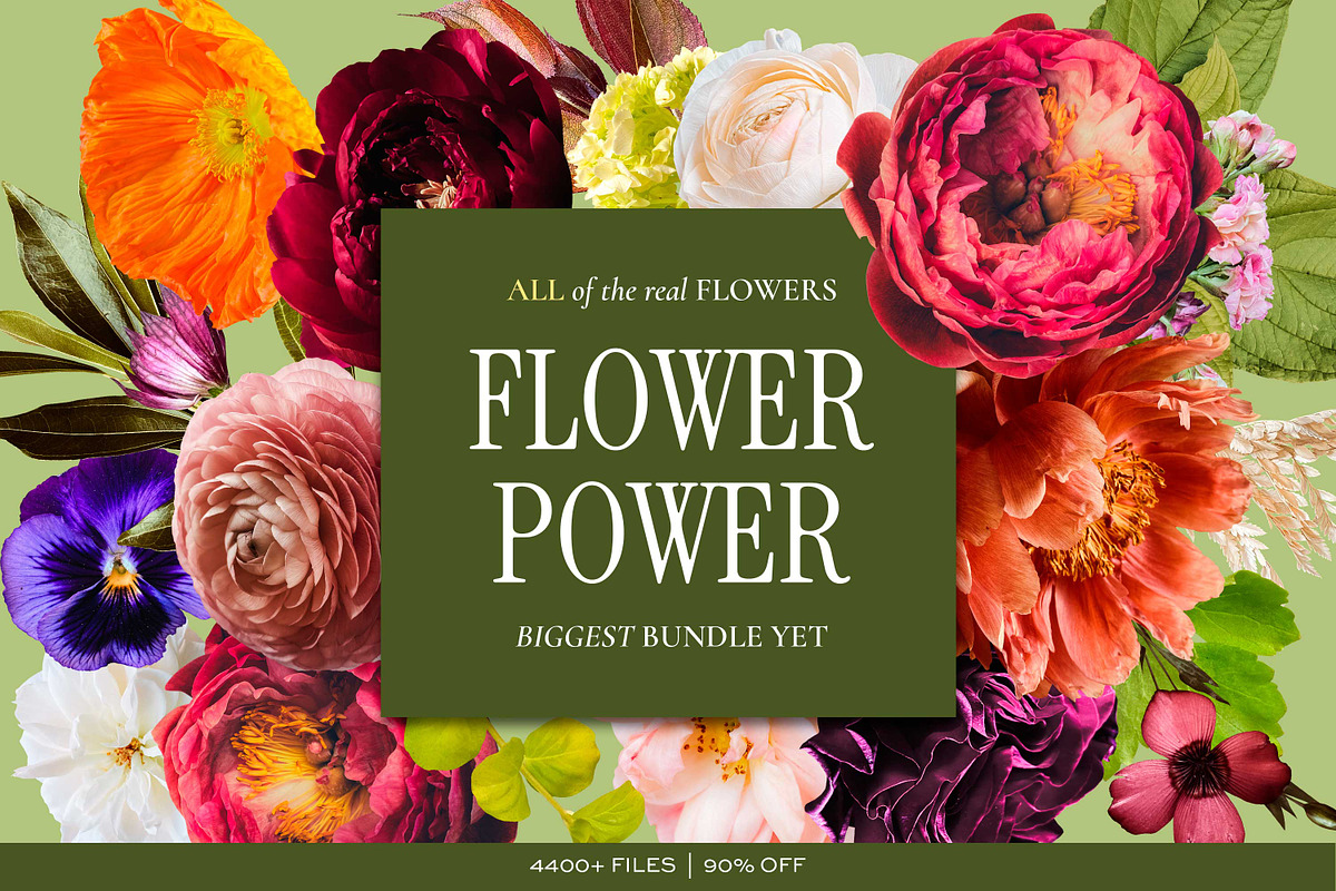 FLOWER POWER Graphics Biggest Bundle, an Object Graphic by Eclectic Anthology (Photo 1 of 6)