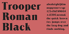 Trooper Roman Black