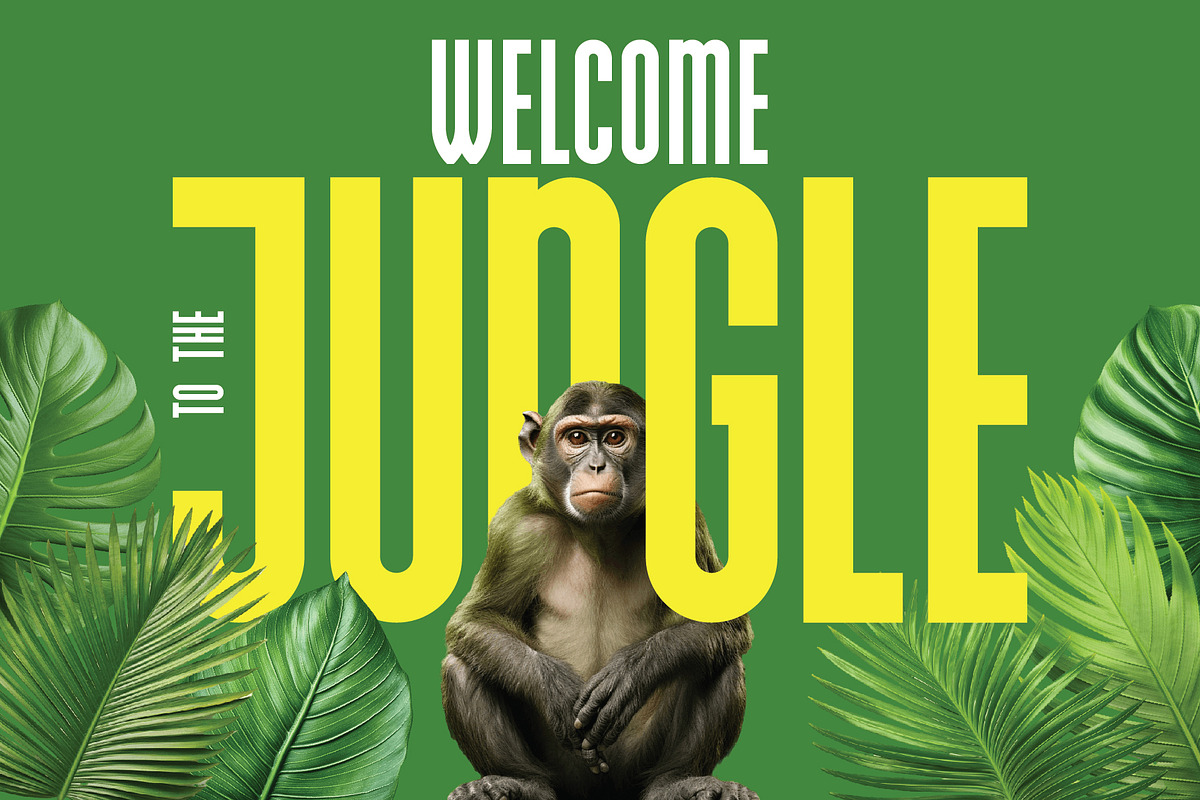 Tropico, a Blackletter Font by VozzyStock (Photo 2 of 8)
