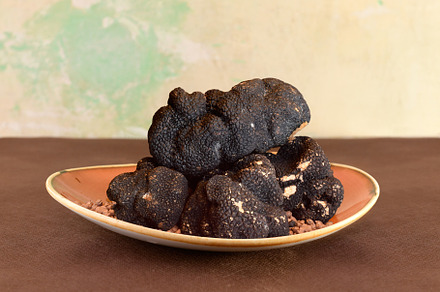 Plate of Fresh Black Truffles – A Go, a Food & Drink Photo by Claudio Valdés
