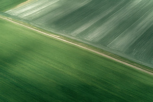 Green fields stretch far and wide, a Photo by Beautiful things