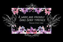 Madison Street Sans