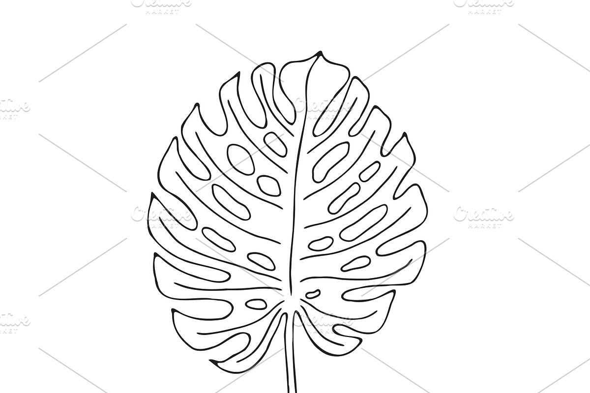 Palm Leaves svg, Botanical png, a Decorative Illustration by Watercolor_Vector Graphic (Photo 13 of 25)