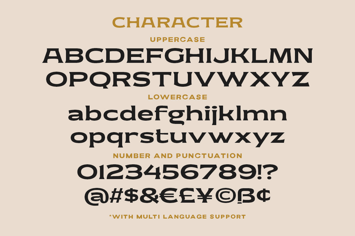 Moltern Blanc - Vintage Display Fon, a Sans Serif Font by Letterhend Studio (Photo 8 of 9)