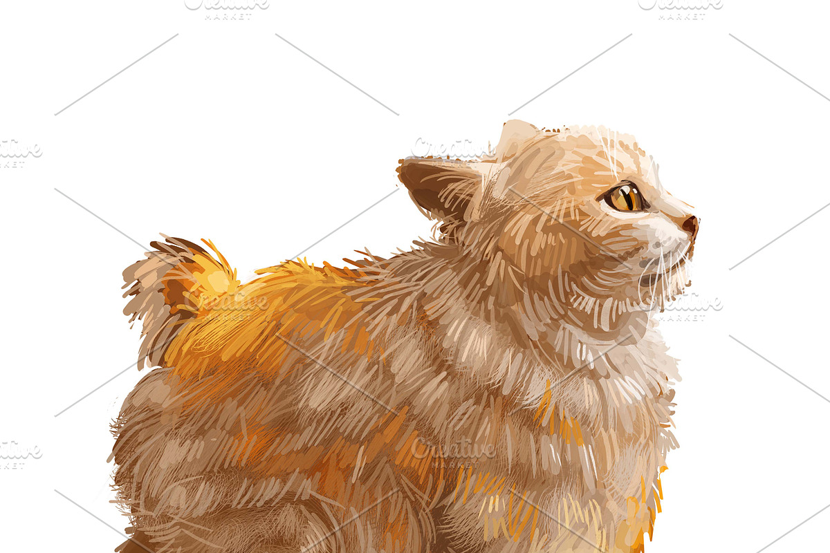 Cats and Kittens, 160 png breeds, an Animal Illustration by Dneprstock (Photo 4 of 11)