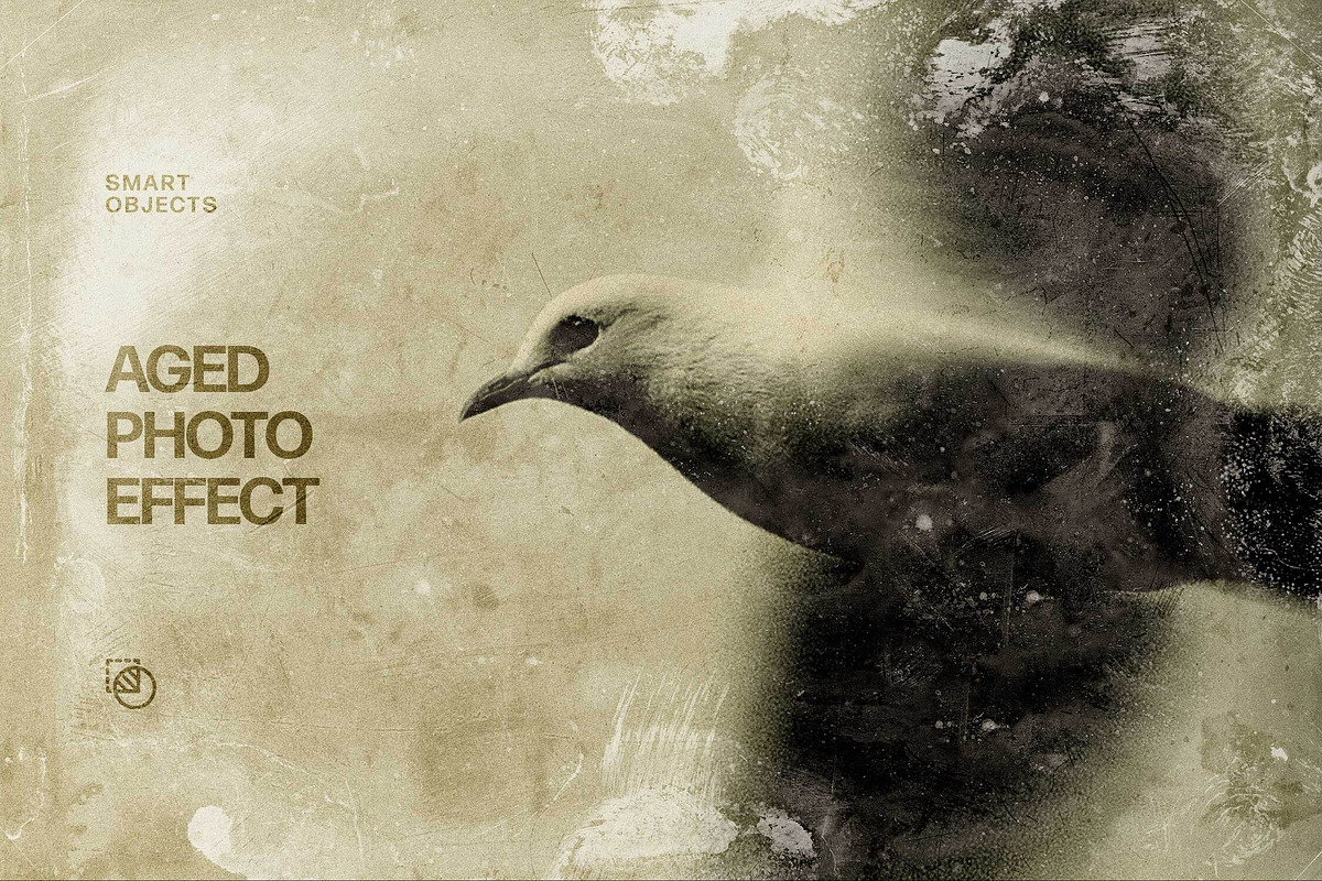 Antique Photo Effect, a Layer Style Add-On by Design Squad (Photo 1 of 5)