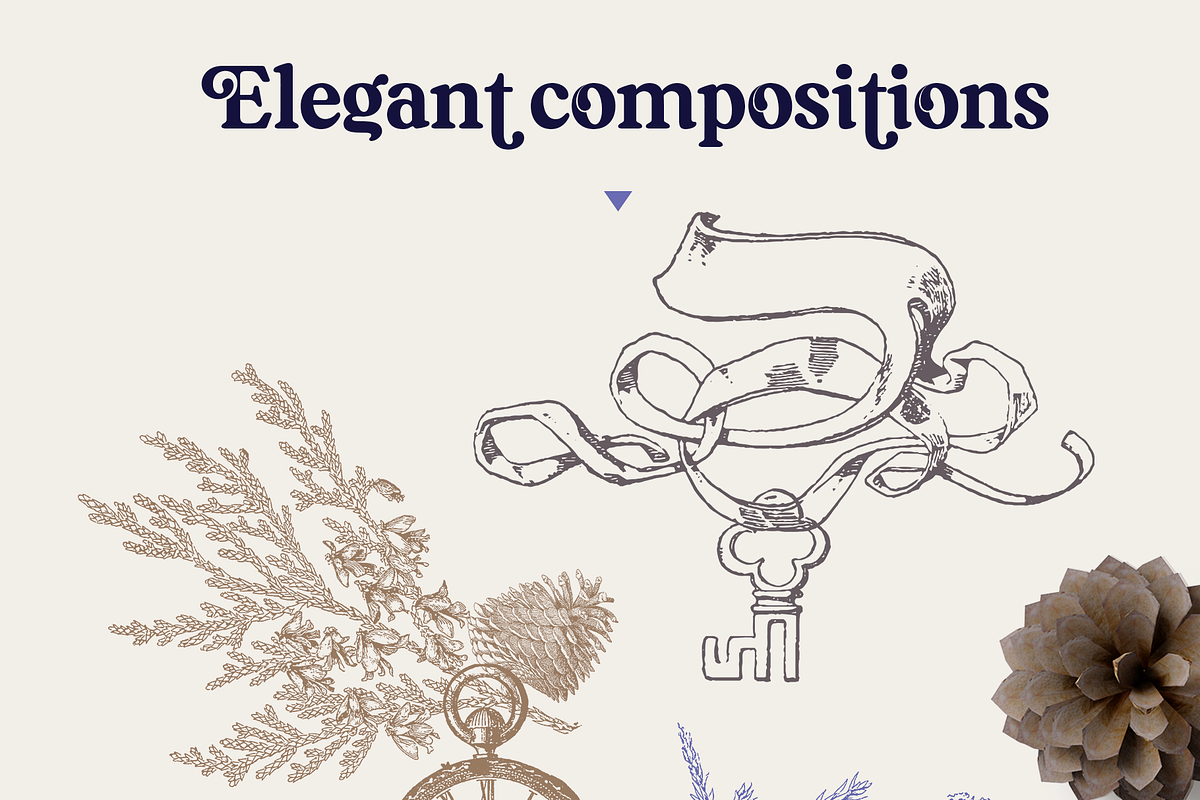 Elegant Pine Vintage Vector Set, a Decorative Illustration by Beauty Drops (Photo 5 of 9)