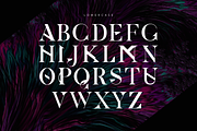 Ozra | Display Font, a Serif Font by Glyph44 (Thumbnail 2 of 7)