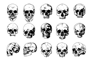 Human Skulls Black Ink Sketch Set