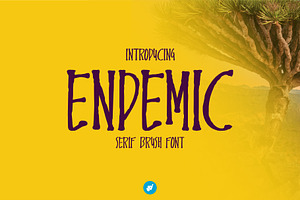 Endemic - Serif brush font