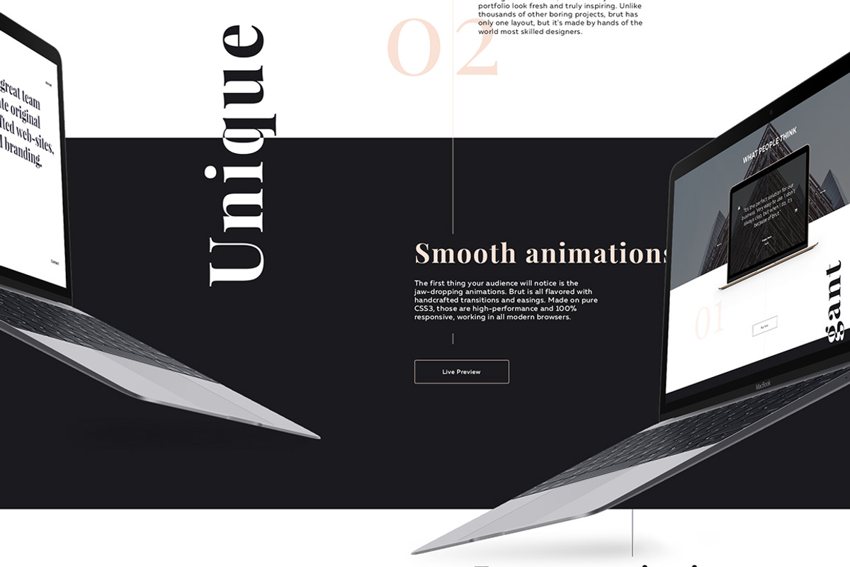 Brut Landing Page, a HTML Template by itmeo (Photo 6 of 8)