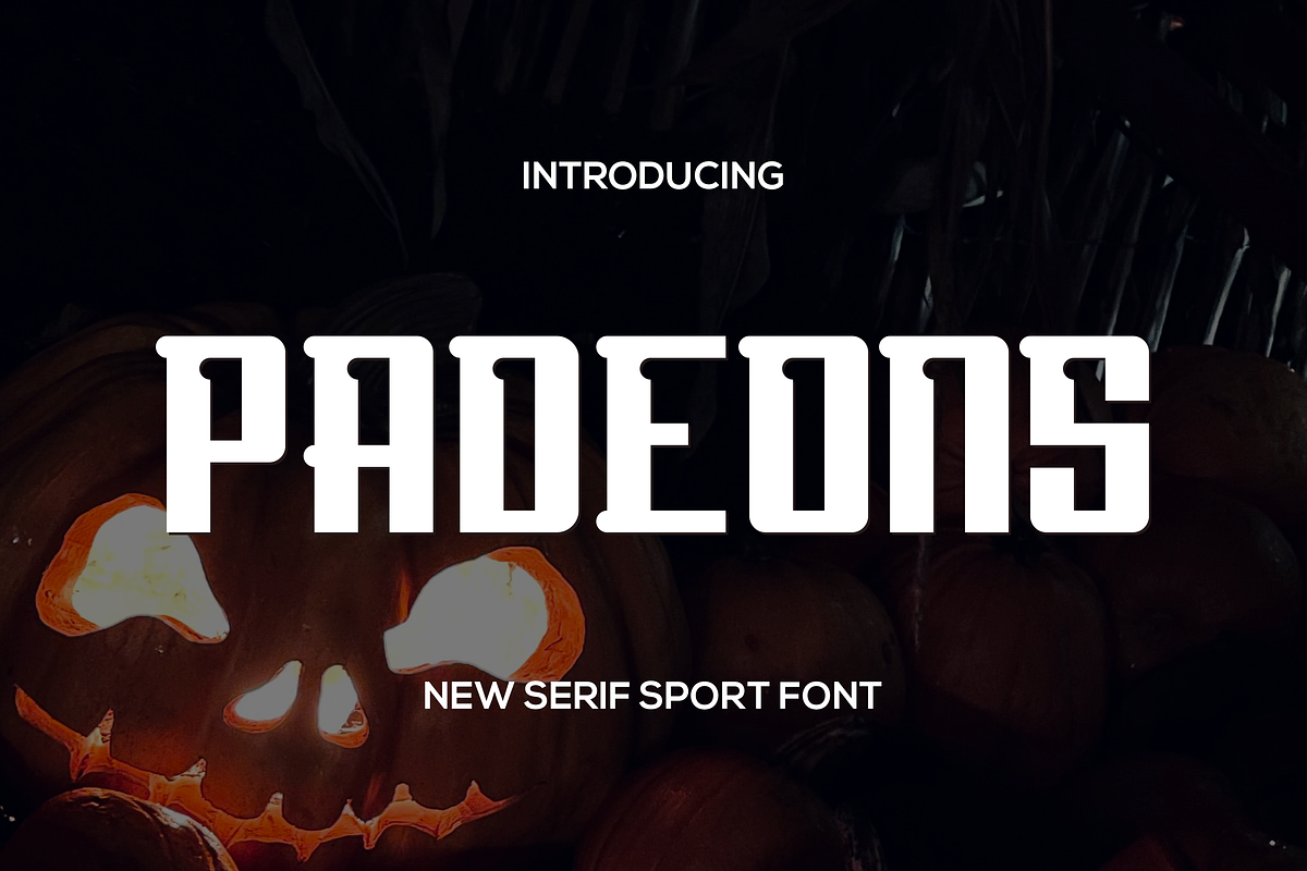 Pradeons, a Serif Font by riotama85 (Photo 1 of 5)