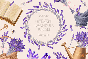 Ultimate Lavandula Bundle