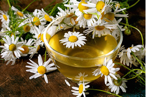 Fresh Chamomile Tea with White, a Food & Drink Photo by Natasha Breen