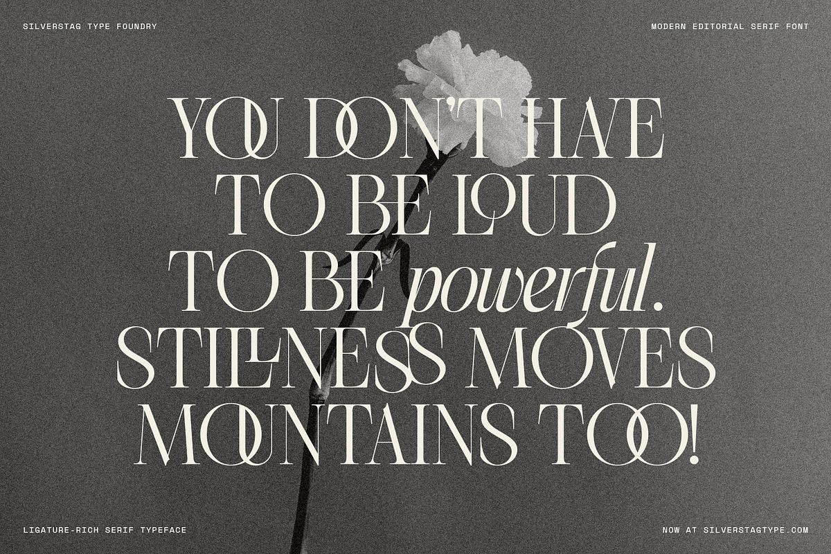 The Elfkin Editorial - Modern Serif, a Serif Font by SilverStag Type Foundry (Photo 10 of 20)