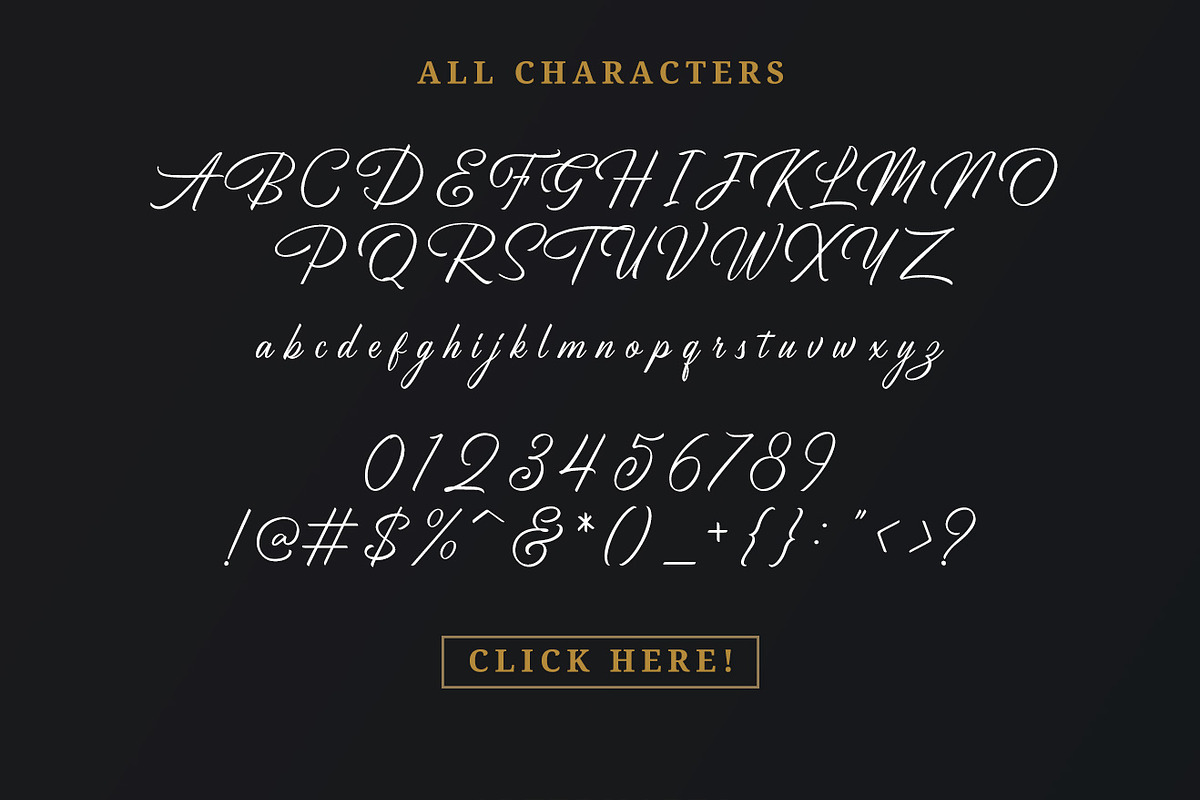 Birmingham - Signature Script, a Script Font by Letterhend Studio (Photo 10 of 10)