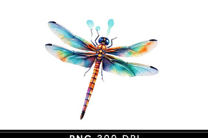 Butterflies And Dragonfly Clipart