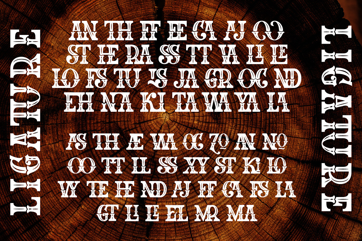 The Western Gold, a Serif Font by Burntilldead (Photo 10 of 11)