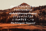 Blindspot, a Script Font by NUGS (Thumbnail 6 of 6)