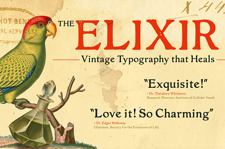 Misprinted Type A Creative Market Shop