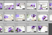 Purple Iris Styled Stock Collection, a Photo by Chalking Up Stock (Thumbnail 19 of 19)