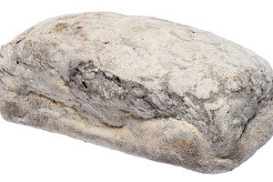 Loaf of rye bread generously sprinkled with flour, isolated back, a Food & Drink Photo by ndanko