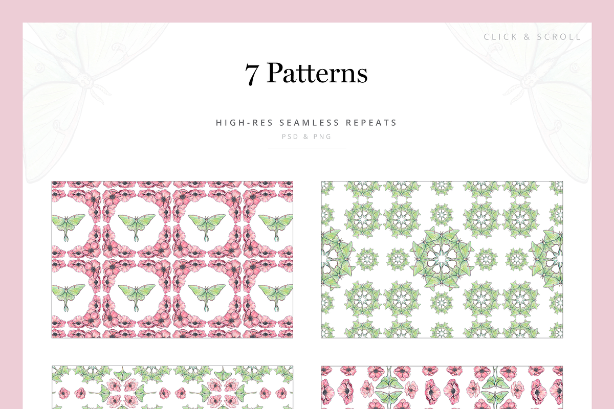 Ethereal Graphic Set & Fonts, an Animal Illustration by Riveros Illustration (Photo 7 of 14)