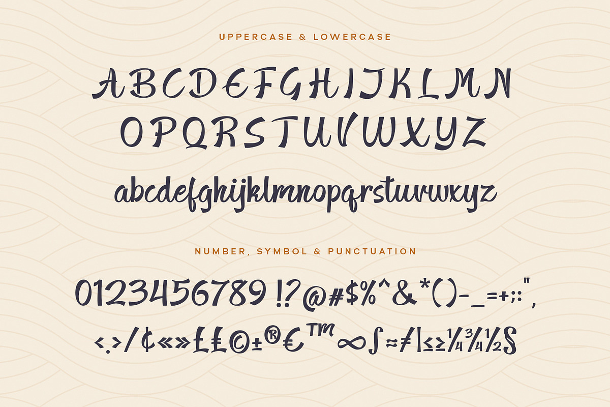 Shinay Display Font, a Script Font by nizarbagasm (Photo 6 of 8)