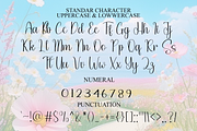 Samantha Signature, a Handwritten Font by InermediaSTUDIO (Thumbnail 8 of 8)