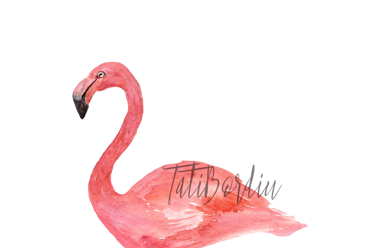Watercolor Flamingoes Clip Art+Print, an Object Graphic by Tati Bordiu (Photo 2 of 4)