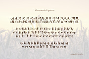 Agrista - Script Font, a Script Font by haniefart (Thumbnail 9 of 10)