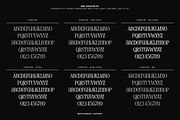 Evertype - Display Serif Font Family, a Serif Font by VP Fonts (Thumbnail 23 of 32)