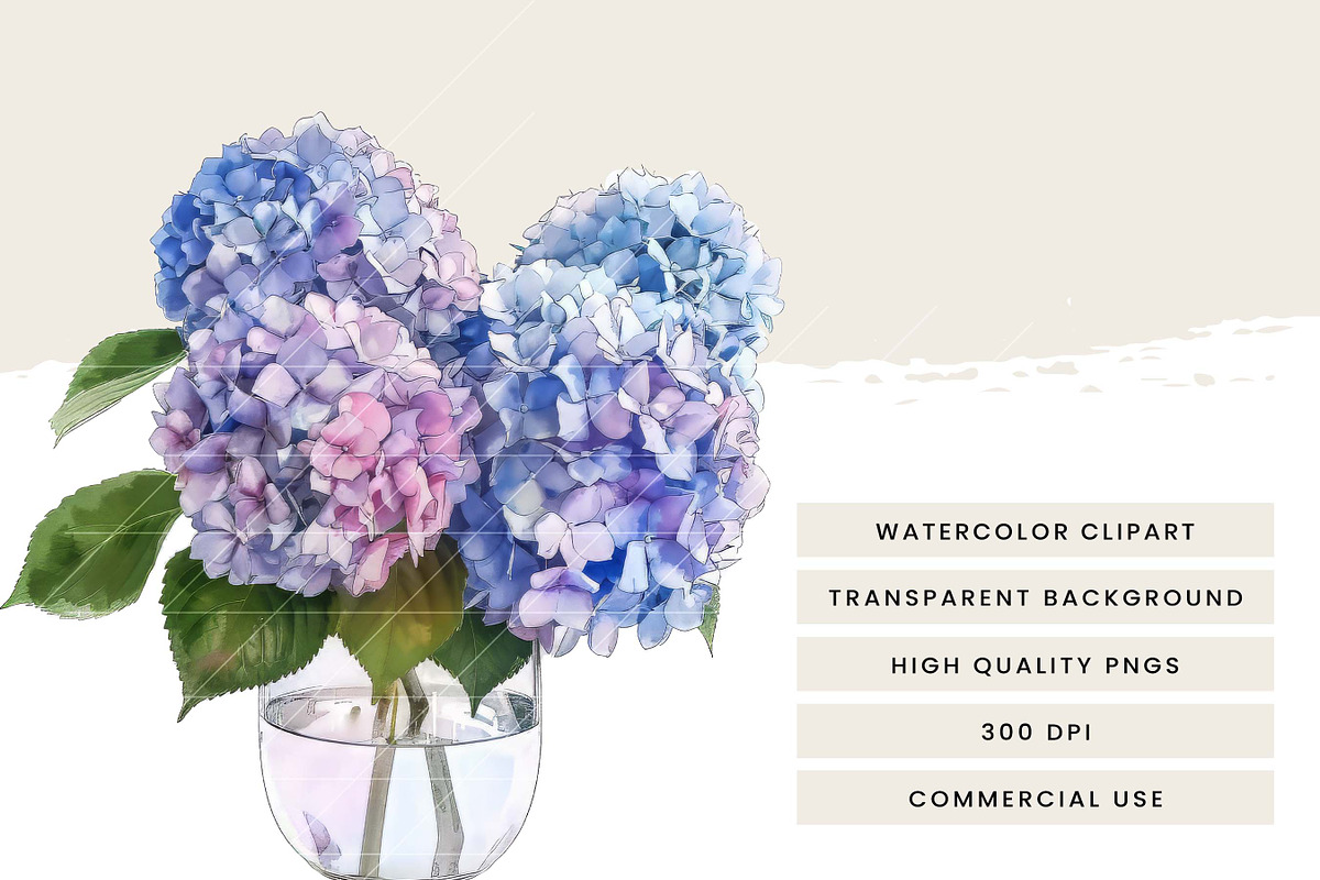 Watercolor Hydrangea Clipart Bundle, a Decorative Illustration by ...