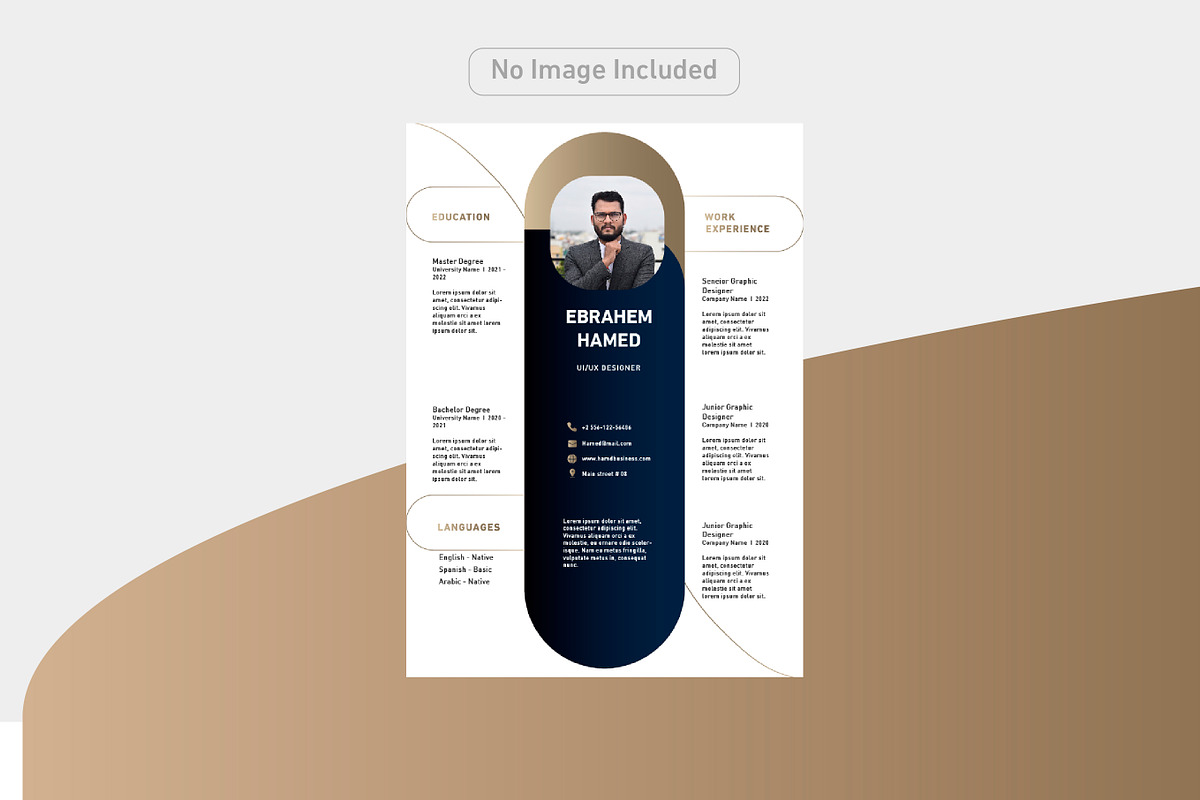Luxury and simple CV, a Resume Template by Hamed Studio