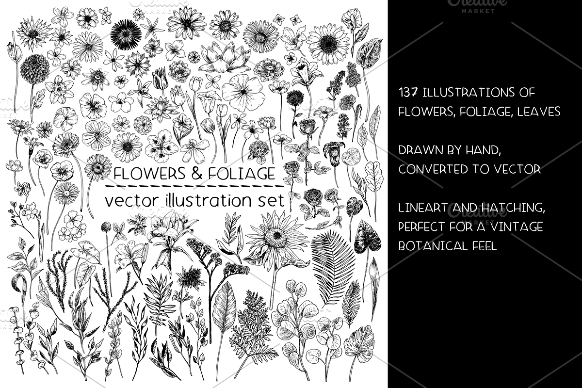 Flowers & foliage - illustrations, a Decorative Illustration by Renée from Studio neetje (Photo 2 of 4)