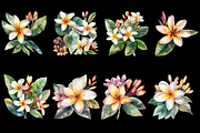 White plumeria flowers. Watercolor, a Decorative Illustration by ElenazlataArt (Thumbnail 3 of 4)