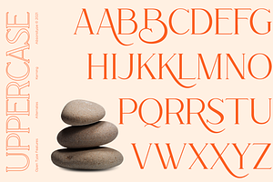 Rottering - Modern Serif Typeface