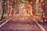 Bokeh - Photo Overlays, an Action Add-On by Nostal Studio (Thumbnail 8 of 9)
