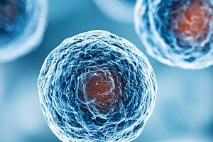 Stem cells with visible nuclei, view, a Health & Medical Photo by MistyDay