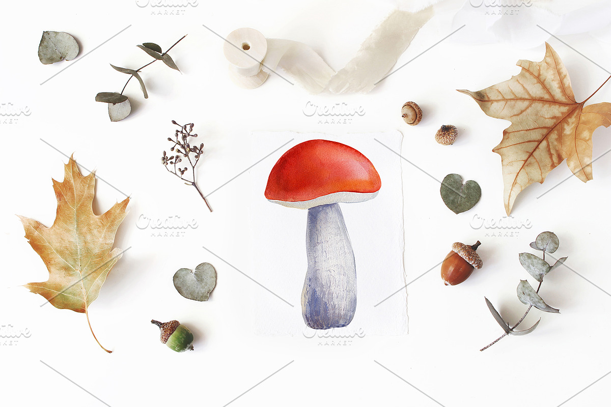 Mushrooms Forest watercolor painting, an Object Illustration by Hanna Hryharenka (Photo 10 of 11)