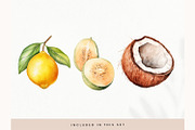 Watercolor Fruit Clipart, Fresh PNG, a Decorative Illustration by illuztrate (Thumbnail 13 of 13)