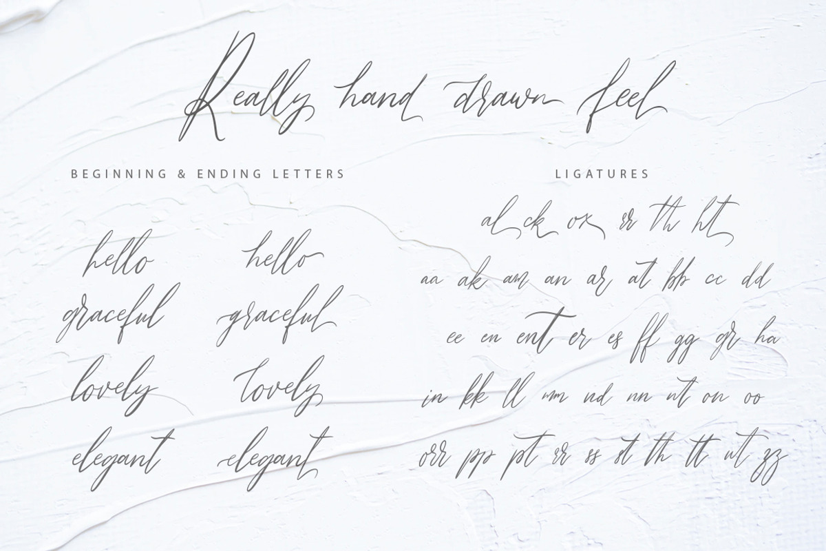 Autograph. Casual signature font., a Script Font by ClipArtRoom (Photo 9 of 10)
