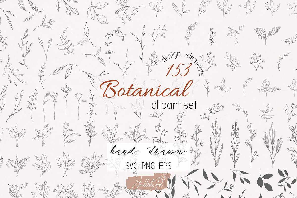 Organic shapes, botanical forms, a Decorative Illustration by JuDesign (Photo 1 of 13)